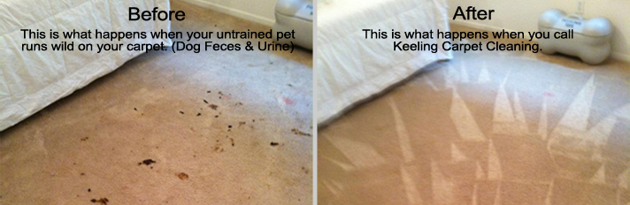 Carpet cleaned before, after Keeling