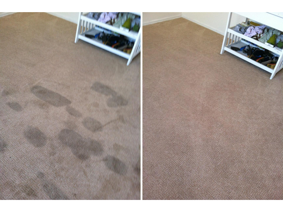 professional Carpet stain removal
