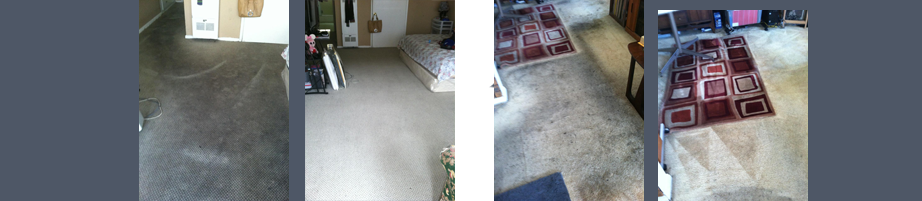 Carpet Cleaner