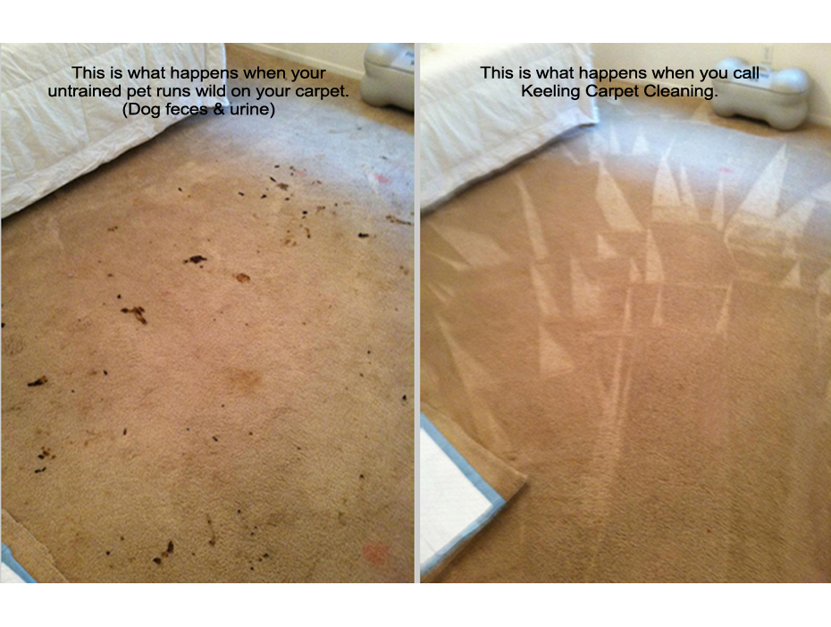 carpet stain removal